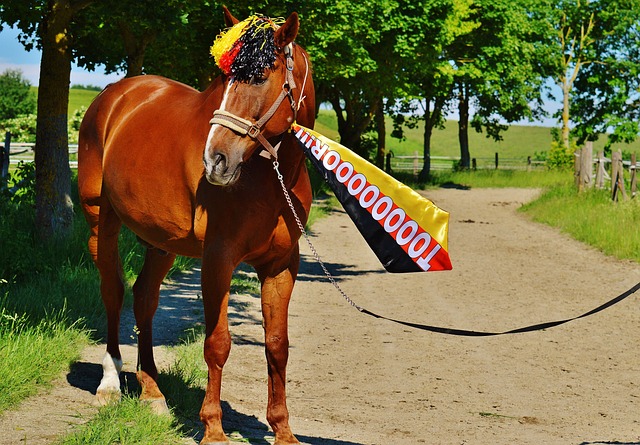 这次妙传太想贴海报了